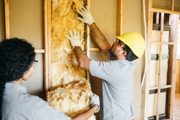 Best Radiant Barrier Insulation  in Menonee, MI